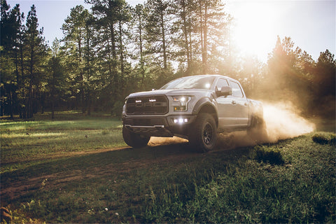 Rigid Industries RIGID 2017-2020 Ford Raptor Fog Light Mount Kit; Includes 6 D-Series LED Lights