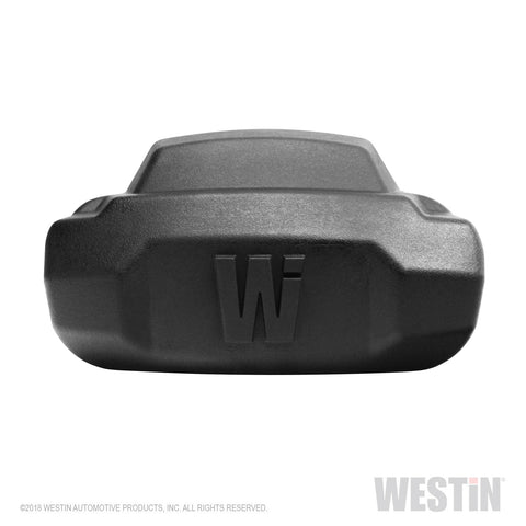 Westin R5 Nerf Step Bar LED Light Kit