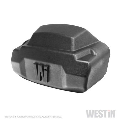 Westin R5 Nerf Step Bar LED Light Kit